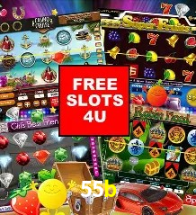Flash Promotion 55b